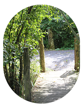 ponton-sentier.png