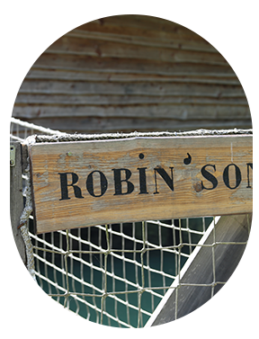 robinson.png